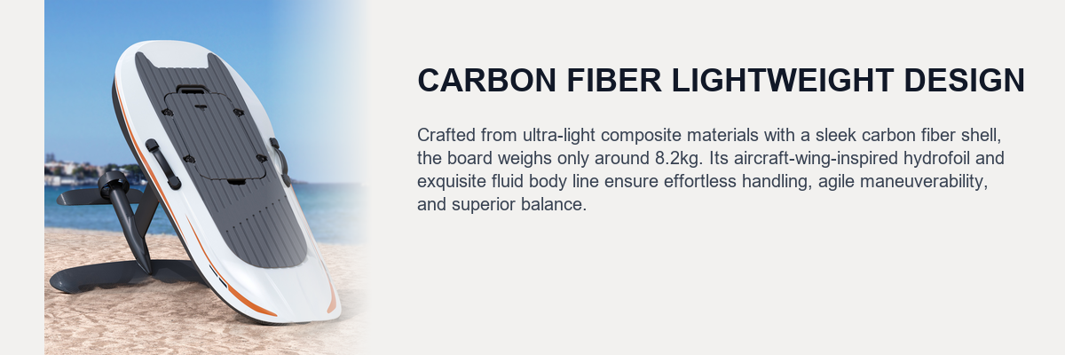 efoil_panel_1_carbon.png