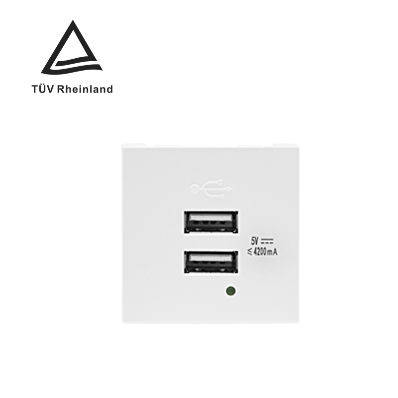 Modular Socket Dual Port Type A+A 21W (total) USB Charger F21-C3 4.2A