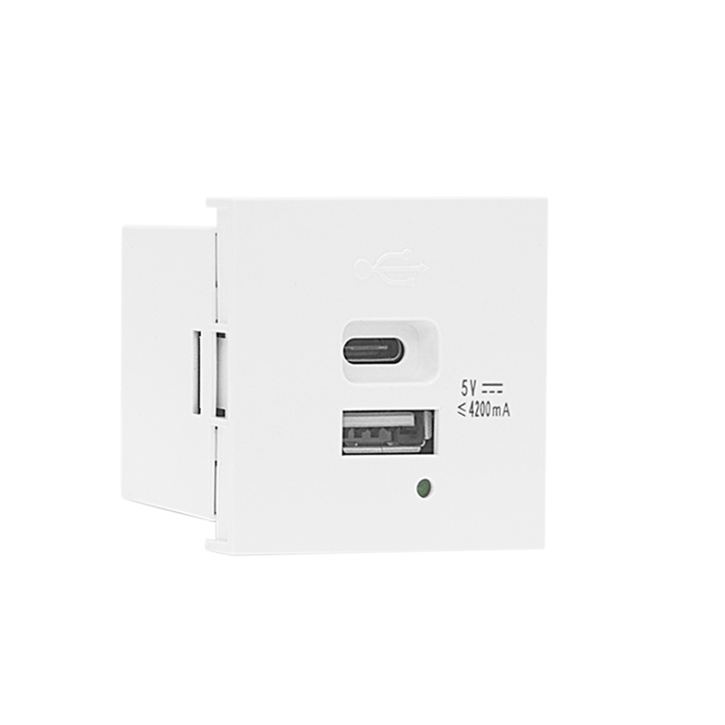 Modular Socket Dual Port Type A+C 21W (total) USB Charger F21-C6