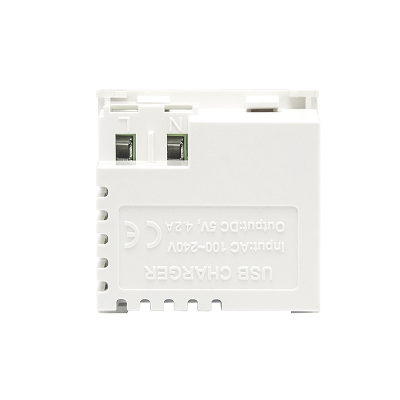 Modular Socket Dual Port Type A+C 21W (total) USB Charger F21-C6