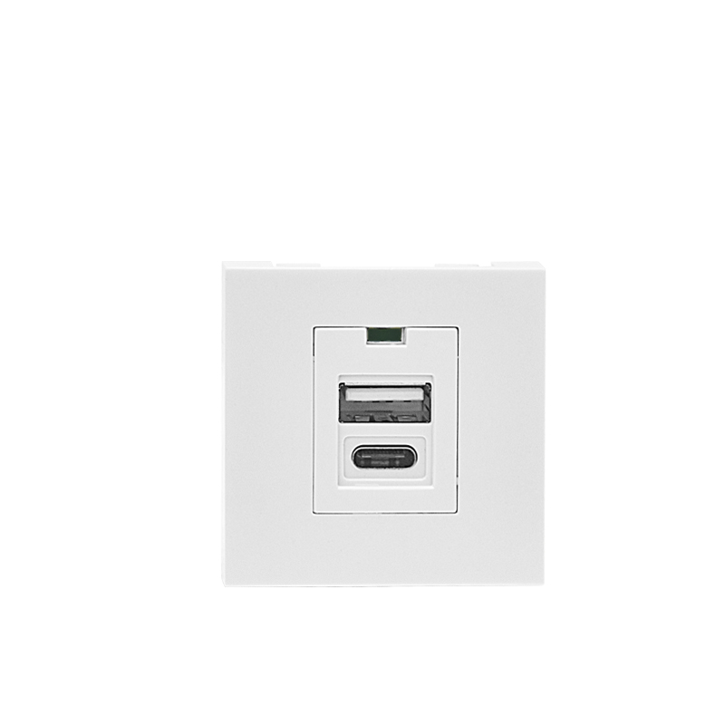Modular Socket Dual Port Type A+C 10.5W (total) USB Charger F21-C4