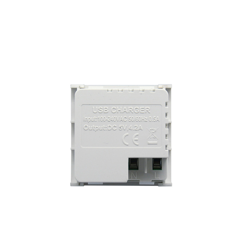 Modular Socket Dual Port Type C+C 21W USB Charger F21-C9