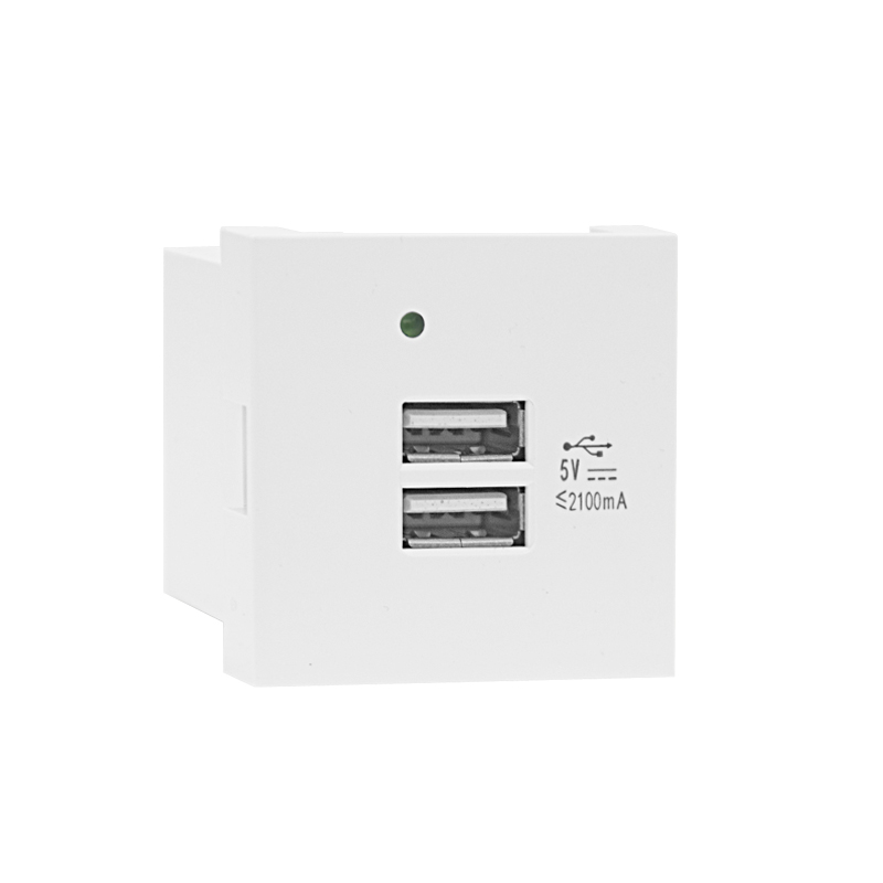 Modular Socket Dual Port Type A+A 21W (total) USB Charger F21-C3