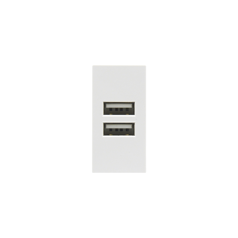 Dual Port Type A+A 10.5W (total) F21-C2A