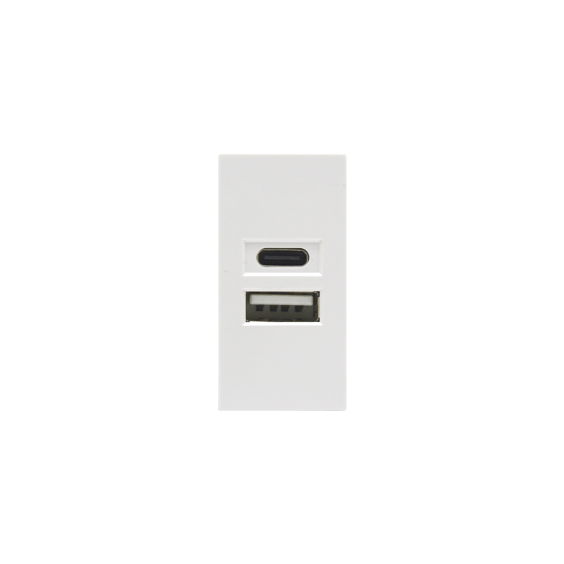 Dual Port Type A+C 10.5W (total) F21-C2B