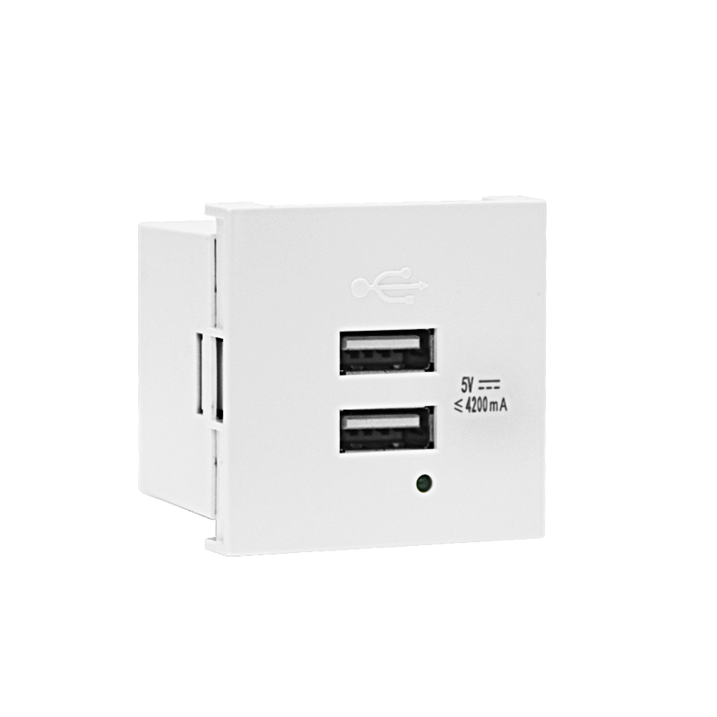 Modular Socket Dual Port Type A+A 21W (total) USB Charger F21-C3 4.2A