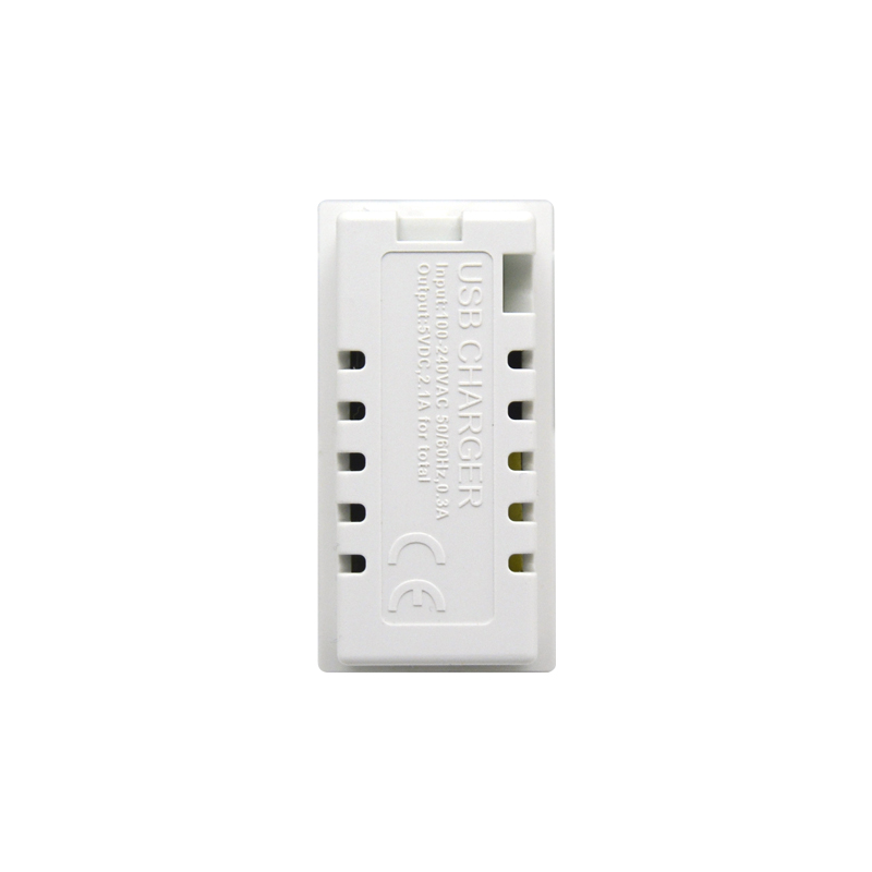 Dual Port Type A+C 10.5W (total) F21-C2B