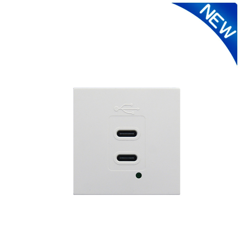 Modular Socket Dual Port Type C+C 21W USB Charger F21-C9