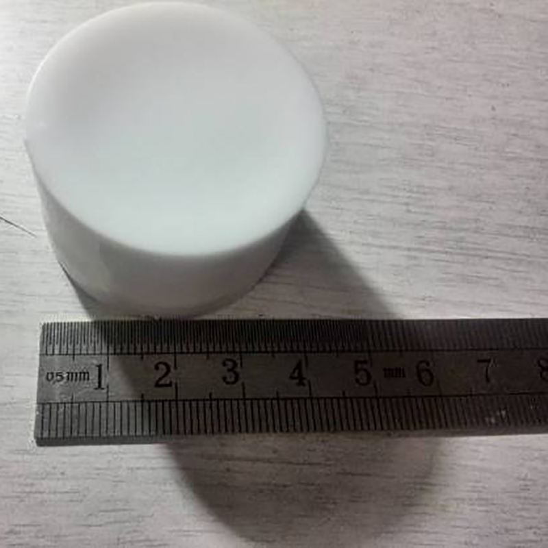 TAG-920Φ40 UHF RFID Buried Tag