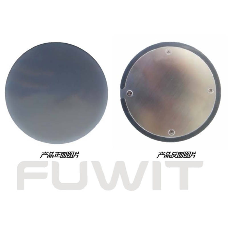 TAG-920Φ100 UHF RFID Buried Tag