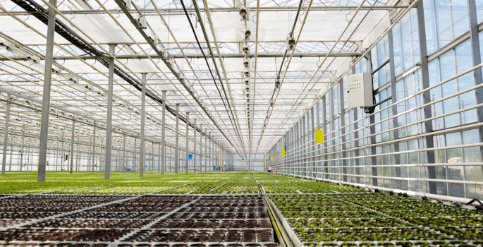 Agricultural automation