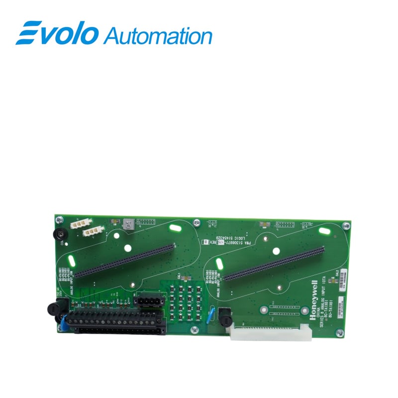8C-TAIX61 51306977-175	Analog Input Module
