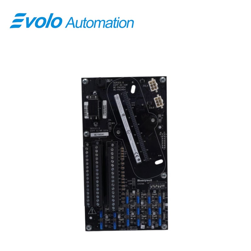 8C-TAIDA1 51307131-175	Analog Input Module