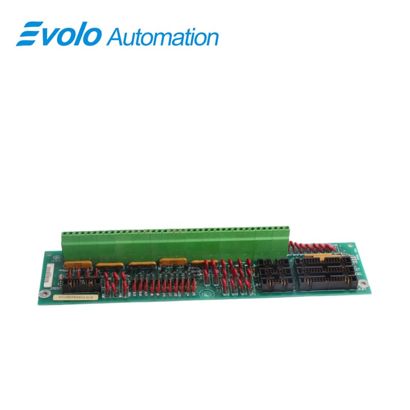 DS200TBQBG1ACB	Input Termination Module
