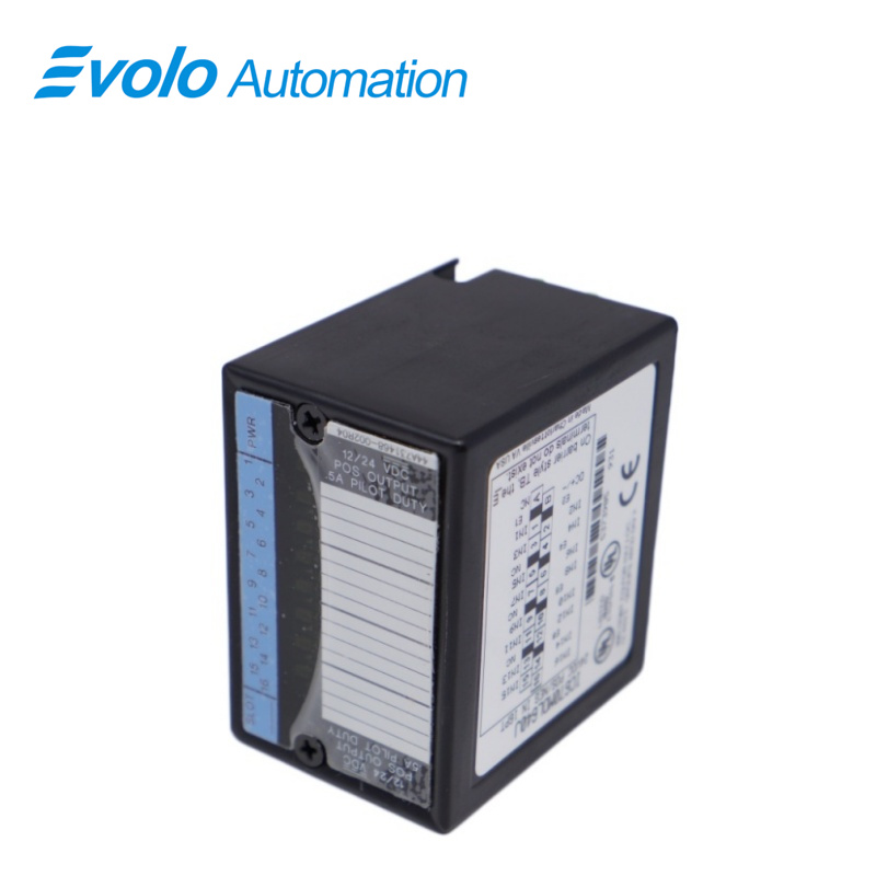 Positief/negatieve ingangsmodule IC670MDL640