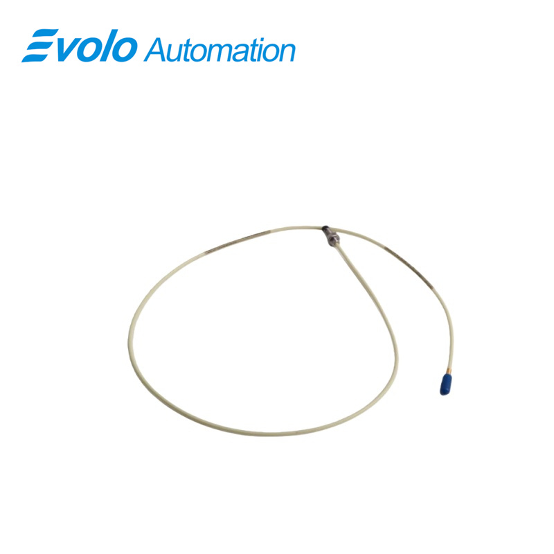 21504-00-40-10-02 Sonda con Montaggio Standard