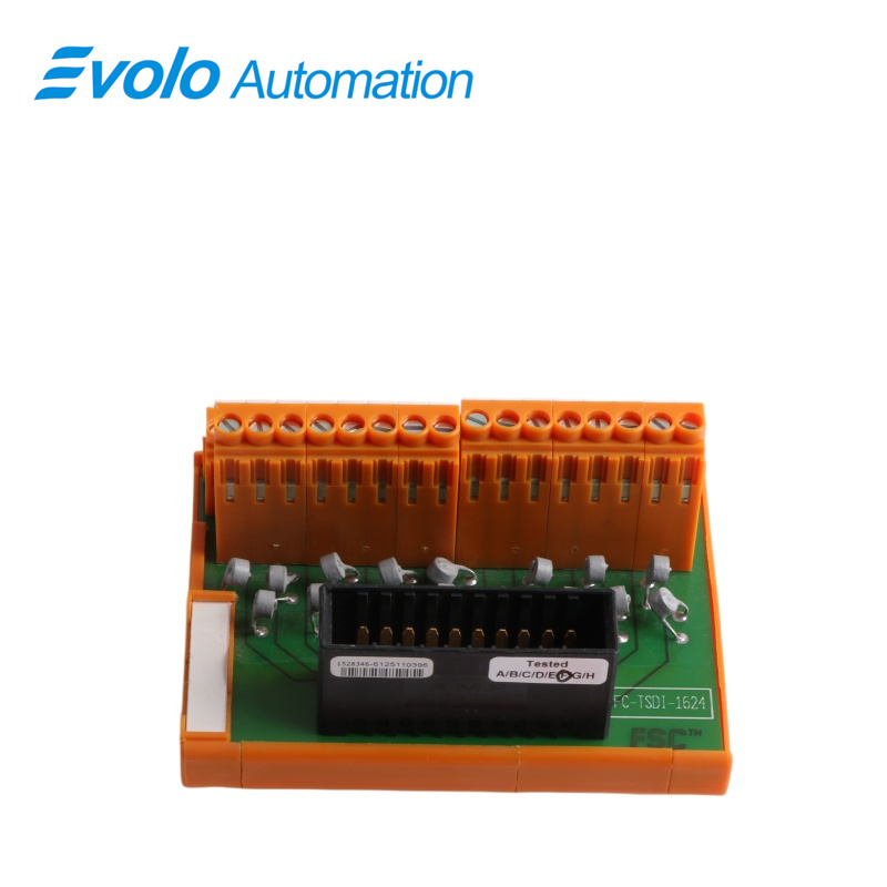FC-TSDI-1624	Safe digital input FTA module