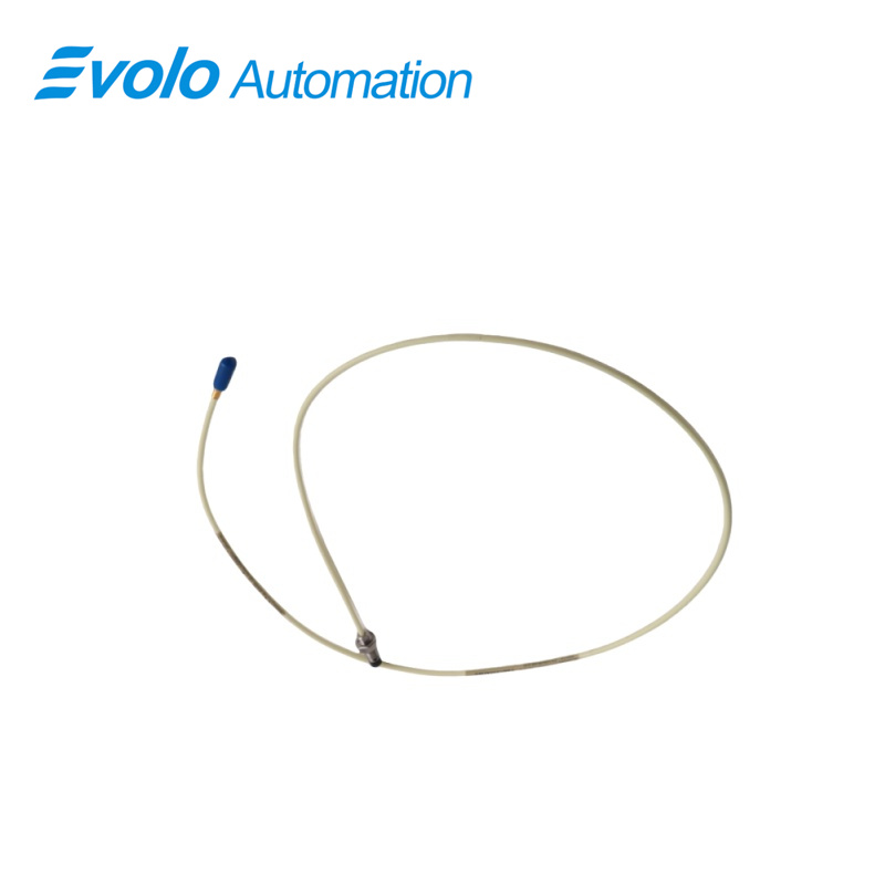 21504-12-28-10-02 Sonda con Montaggio Standard