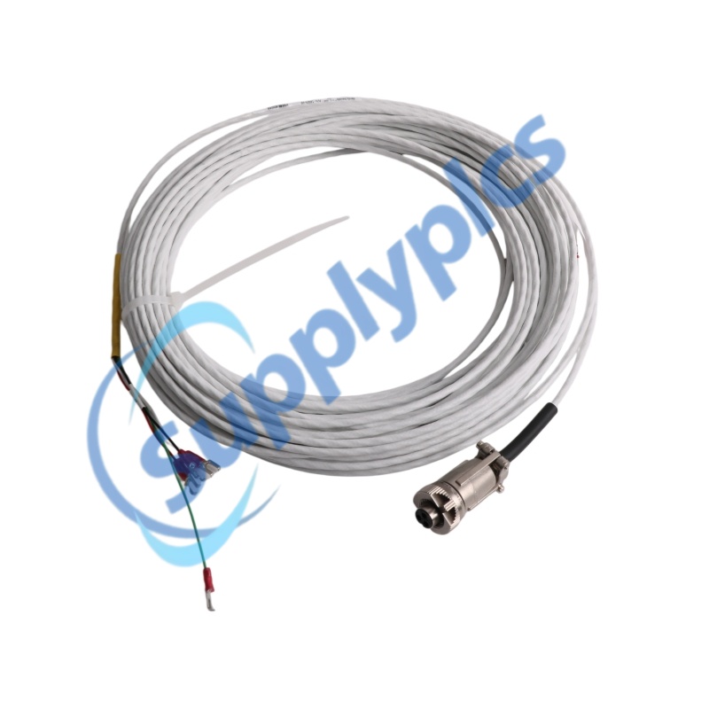 ماژولی کۆنتڕۆڵ و پایشەوەی بازرگانی Bently Nevada 16925-70، نوێ و لە فابریکەوە