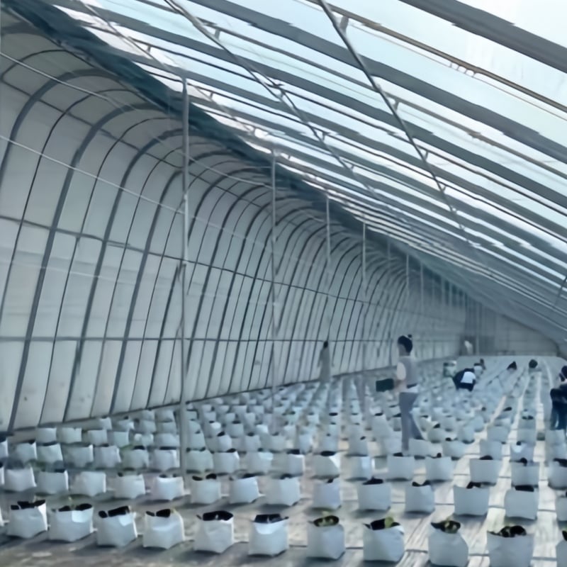 Seră Solară