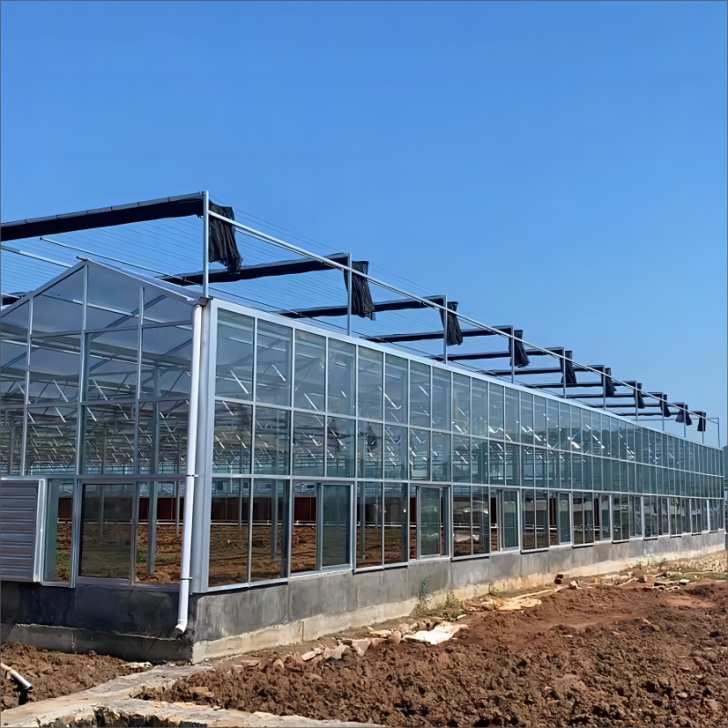 Tehnologie avansată de control al climatului pentru condiții optime de cultivare