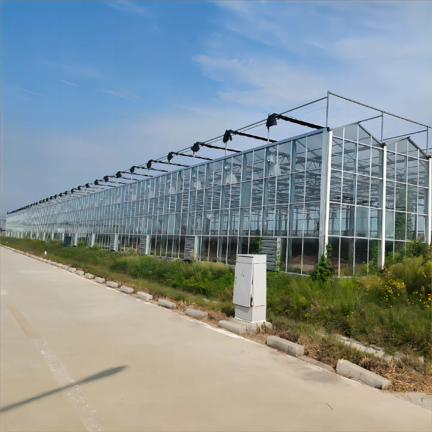Modern Glass Greenhouse Project (5).webp
