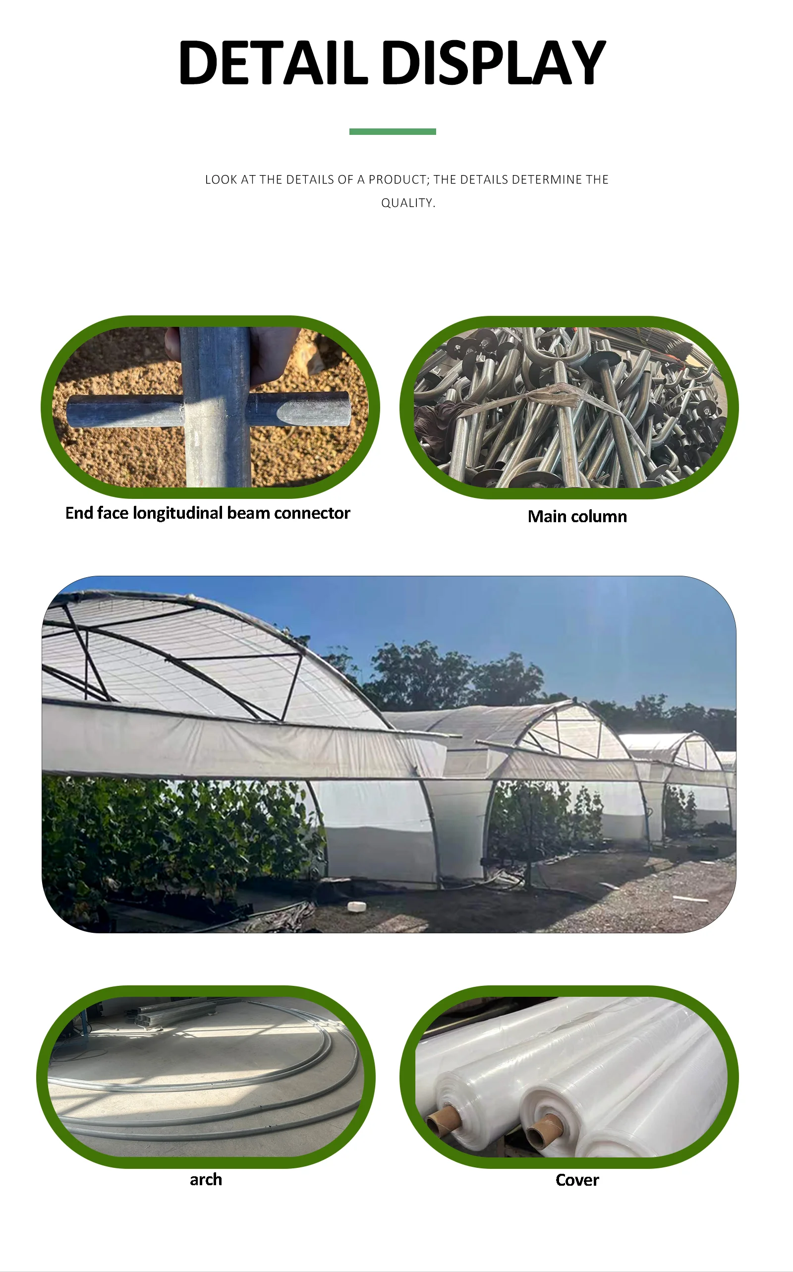 Cucumber Greenhouse_detail_05.webp
