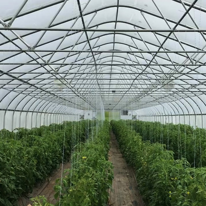 Standard Single Greenhouse| Custom Film & Polycarbonate Greenhouse Manufacturer
