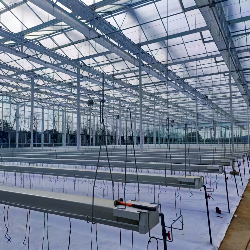 Capacidad de producción durante todo el año y ventajas de mercado