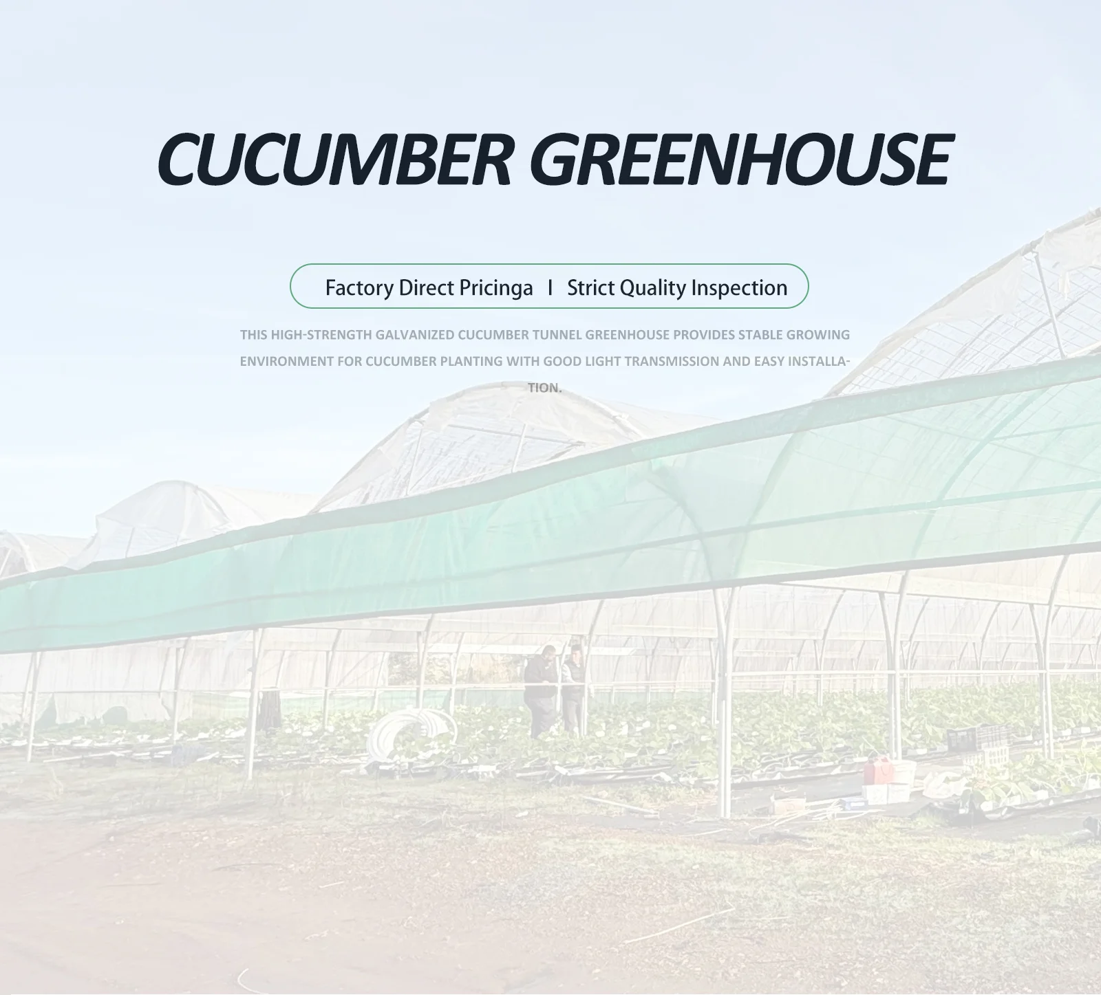Cucumber Greenhouse_detail_01.webp