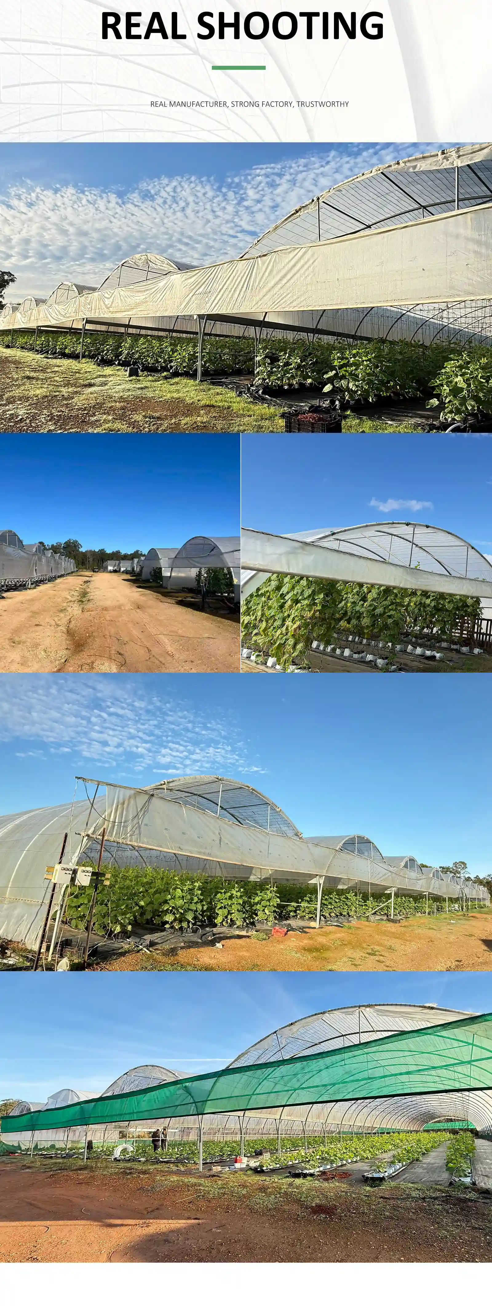Cucumber Greenhouse_detail_07.webp