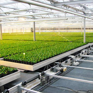 Modern Glass Greenhouse Project (3).png