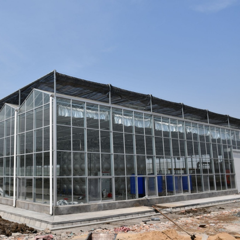 Transmisie optimă a luminii și beneficii pentru creșterea plantelor