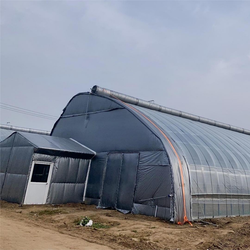 Technologia Protegendi UV Progressa