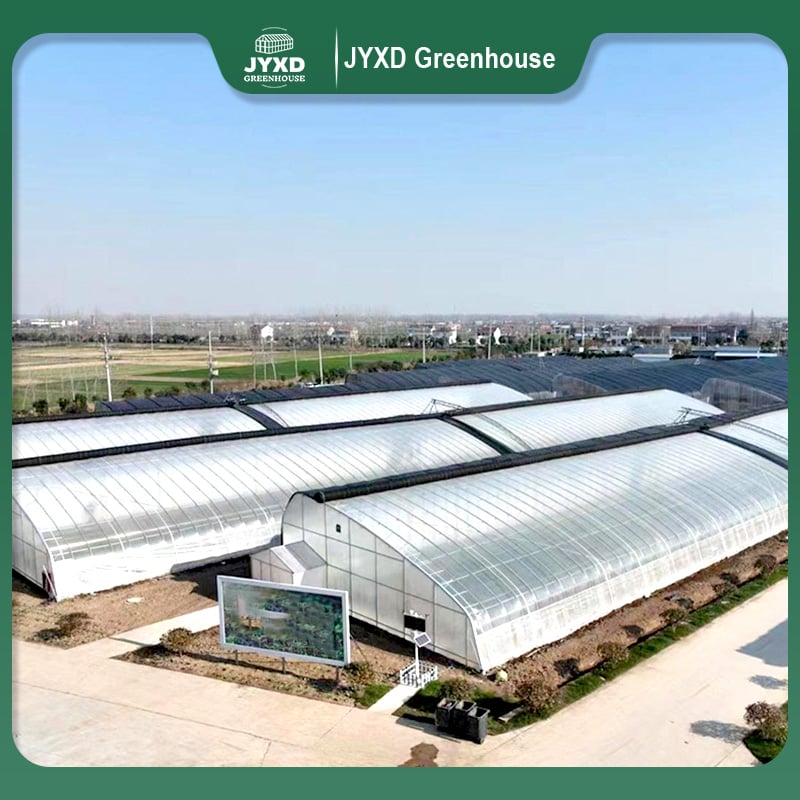 Chinese sonskermkweekhuis vir wintergewasverbouing