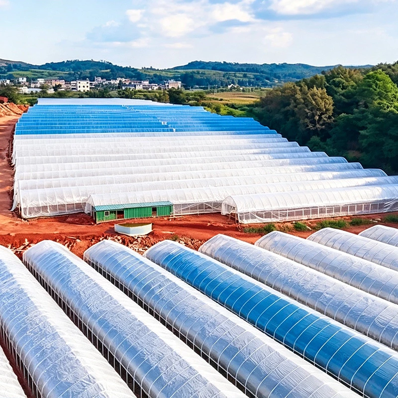 Malaysia Single-span Greenhouse-2.webp
