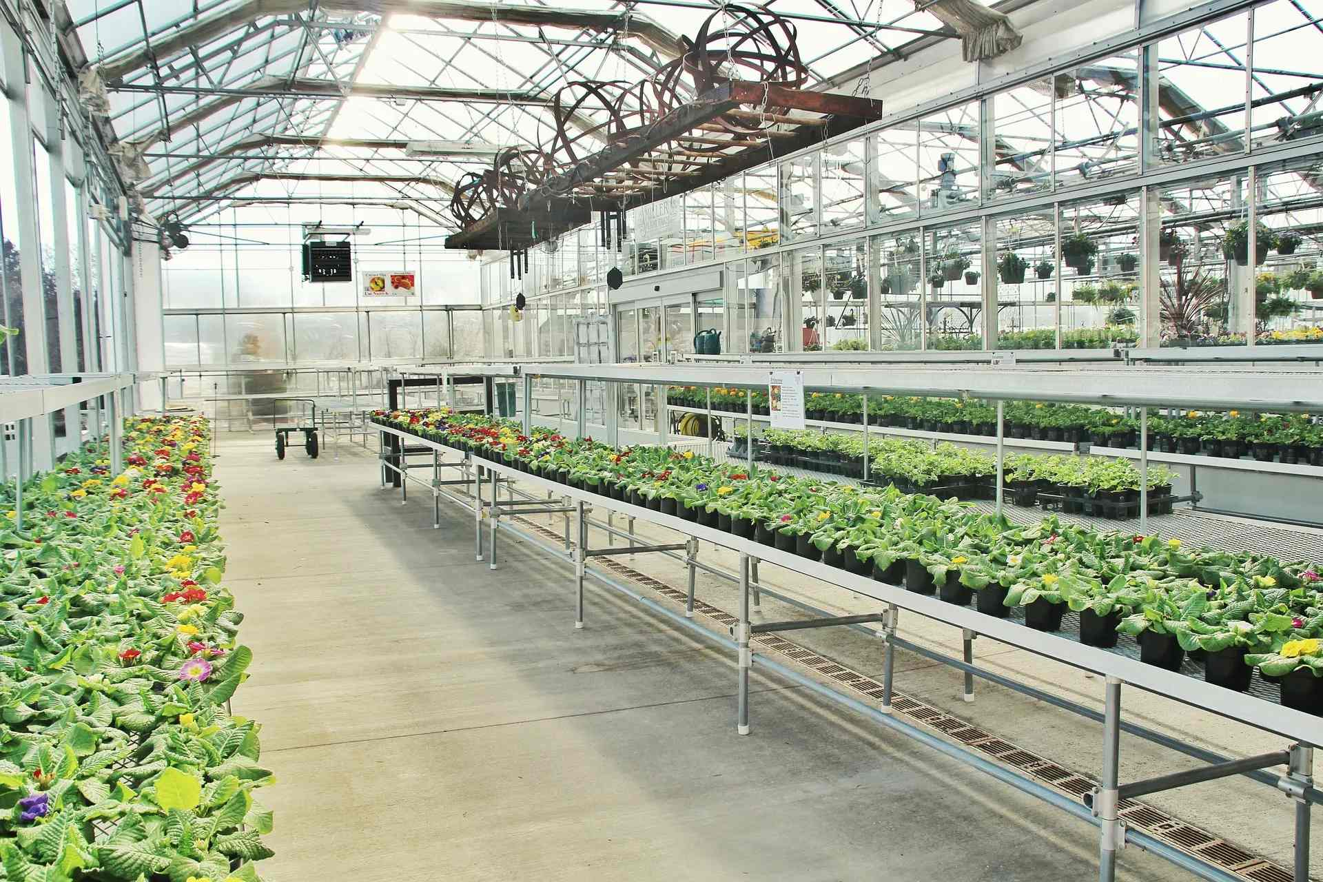 Modern Glass Greenhouse Project (2).jpg