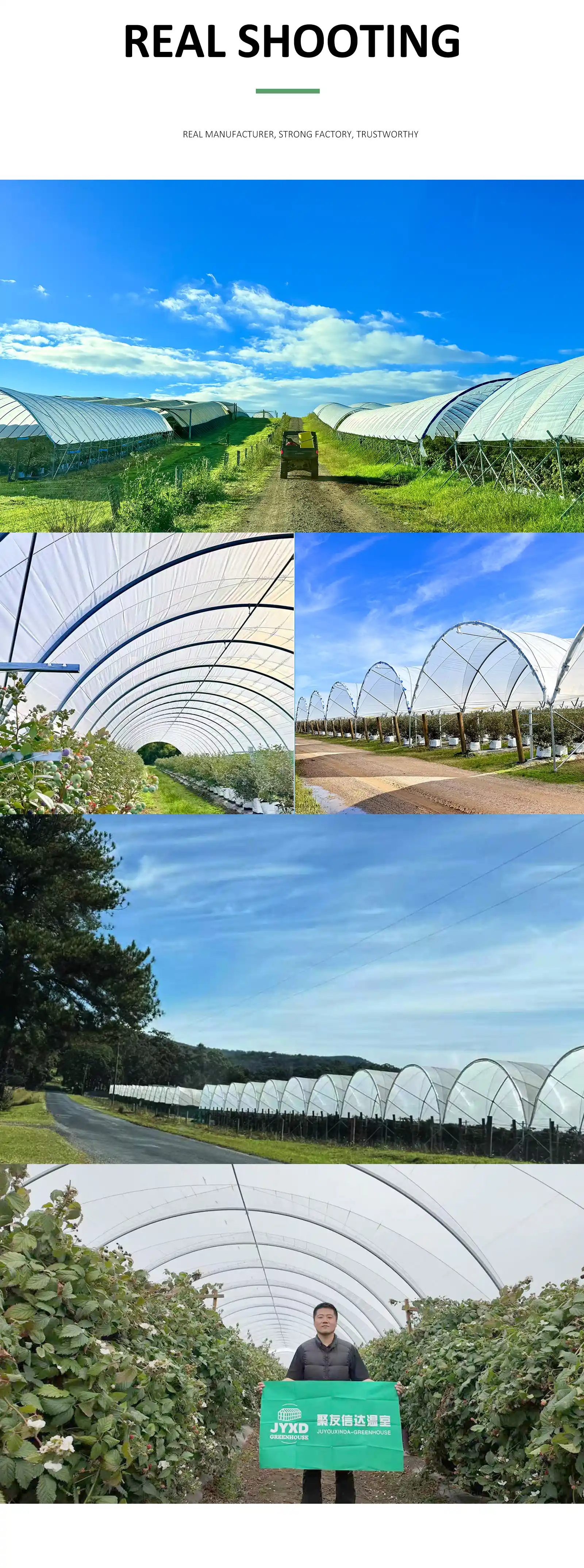 Blueberry Greenhouse_detail_06.webp