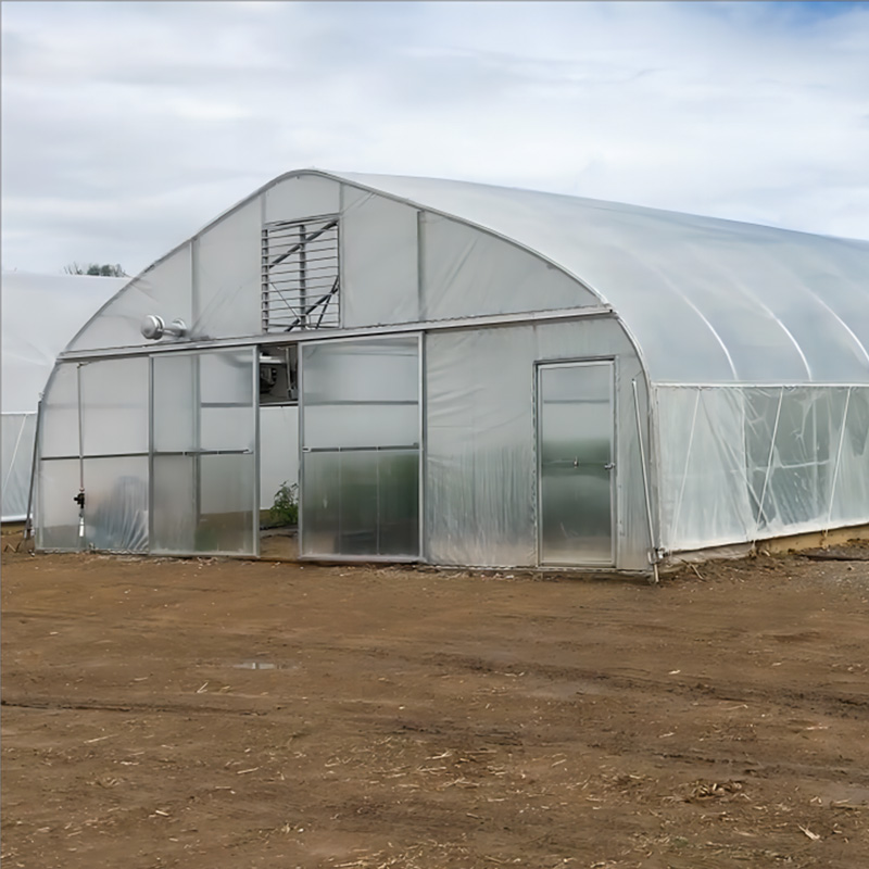 Standard Single Greenhouse| Custom Film & Polycarbonate Greenhouse Manufacturer
