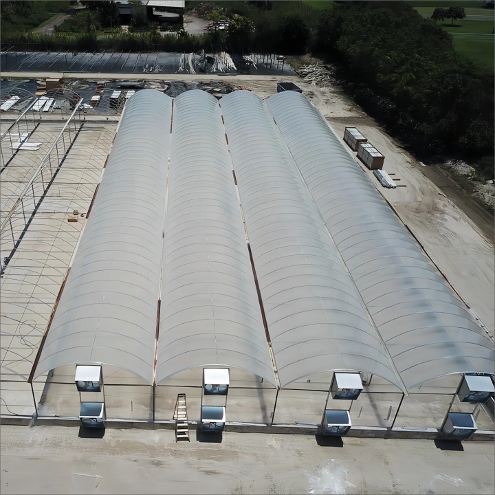 South Africa Multi-span Greenhouse-3.webp