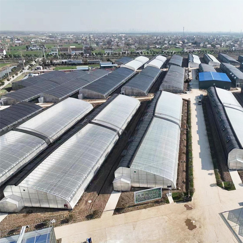 Solar Greenhouse Energy-Saving Solar Greenhouse for Four-Season Commercial Growing

