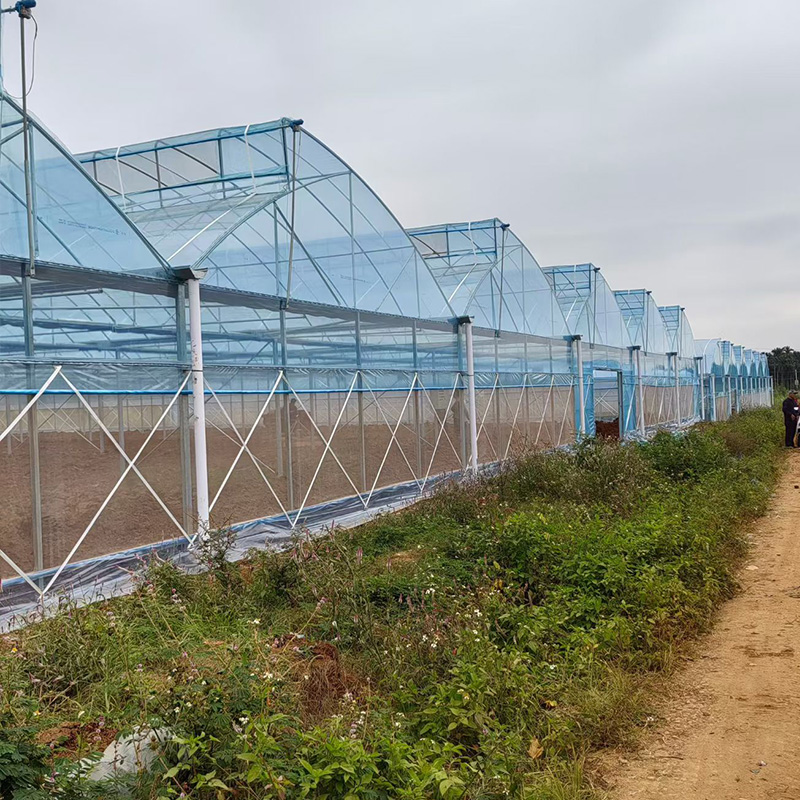 Sawtooth Multi-Span Greenhouse Advanced Ventilation Greenhouse Solution for Commercial Agriculture