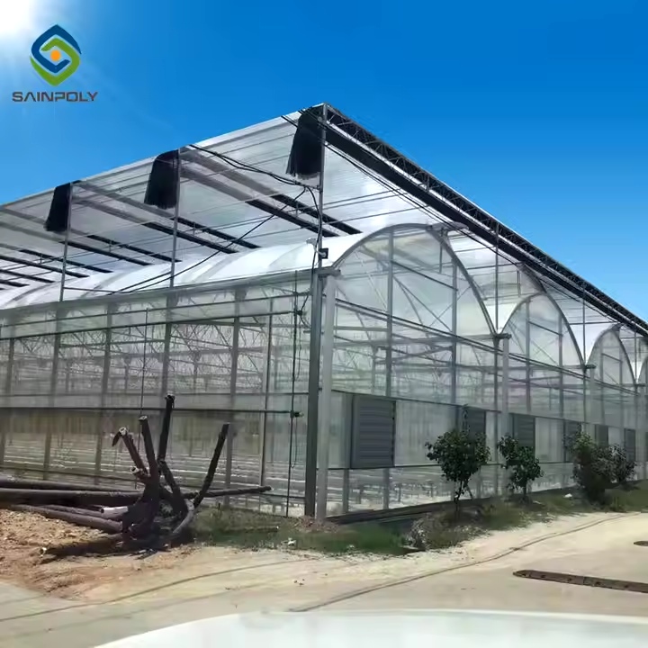 Modern Glass Greenhouse Project