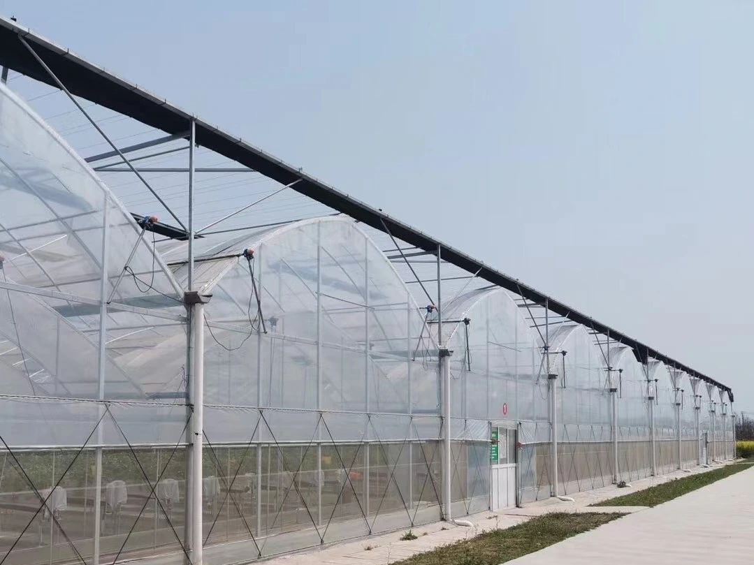 30-Hektar Veelspan-Groentetuinprojek in Suid-Afrika