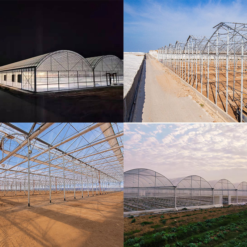 Multi-Span Greenhouse | Professional Custom Greenhouse Manufacturer