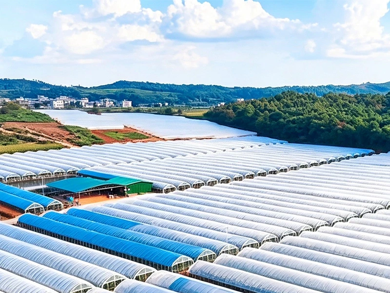 130-Hektar Komkommer-groentetuinprojek in Maleisië