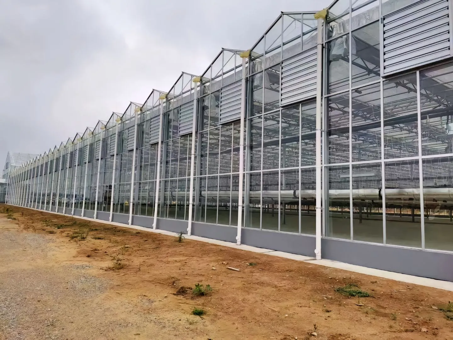 Modern Glass Greenhouse Project (1).webp