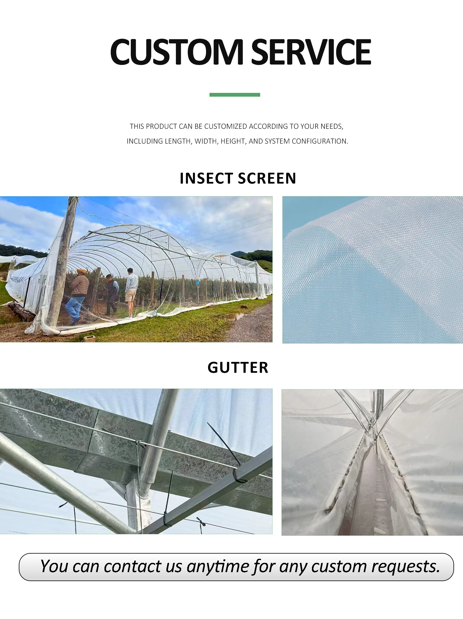 Blueberry Greenhouse_detail_05.webp