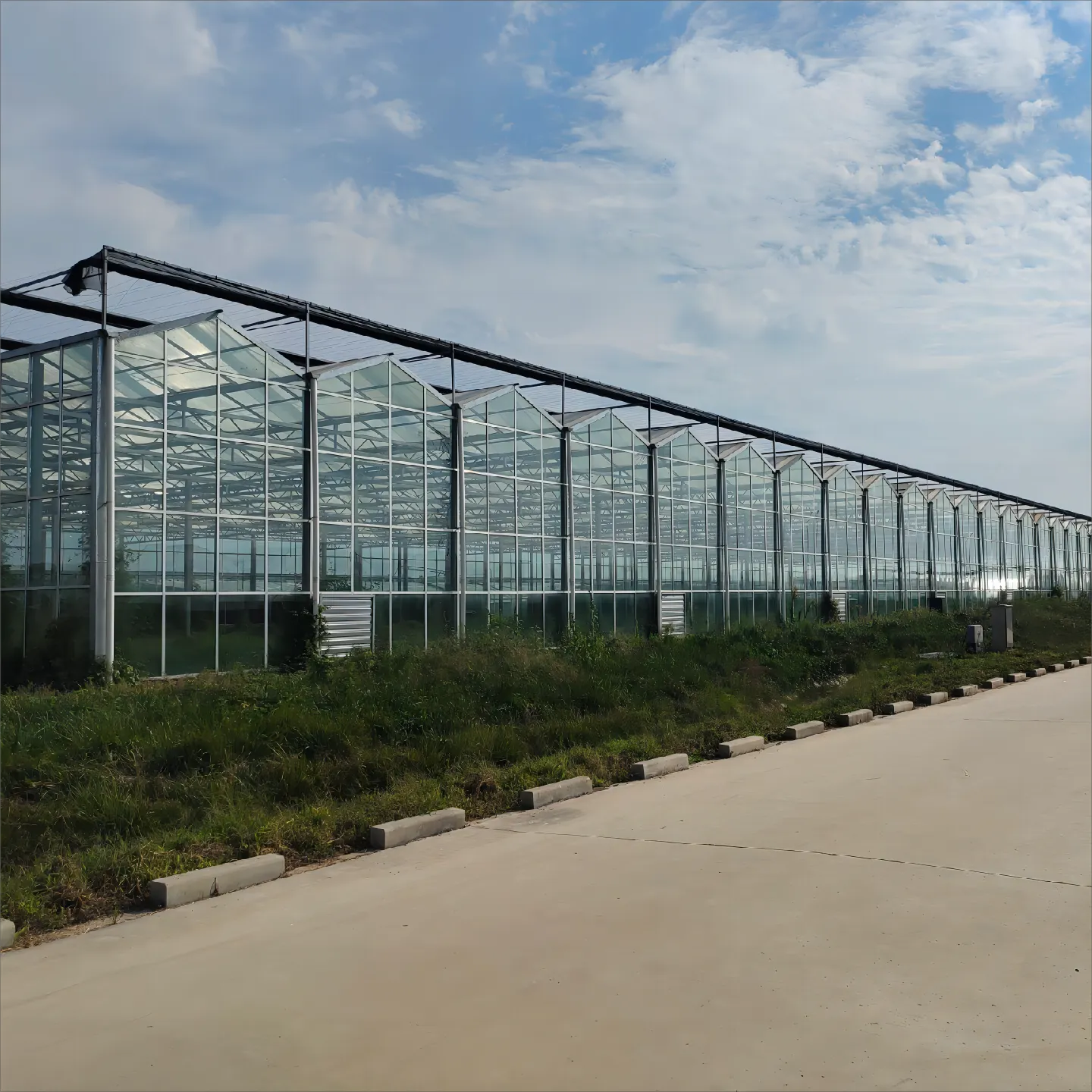 Modern Glass Greenhouse Project (4).webp