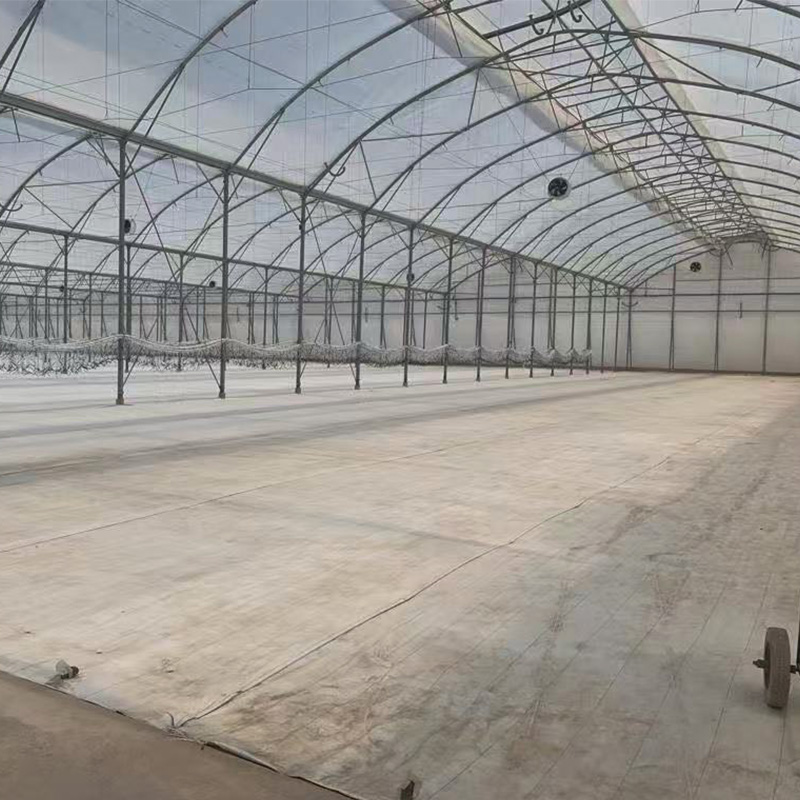Gothic Multi-Span Greenhouse High-Strength Gothic Roof Greenhouse for Professional Commercial Growing\n